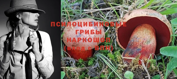 крисы Абаза