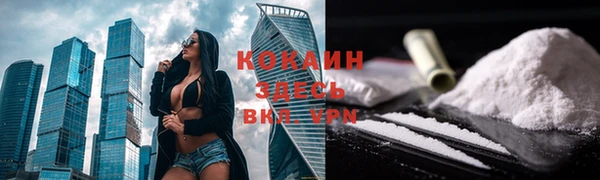 крисы Абаза