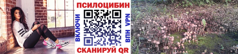 где купить наркотик  Юрюзань  дарк нет клад  Галлюциногенные грибы ЛСД 